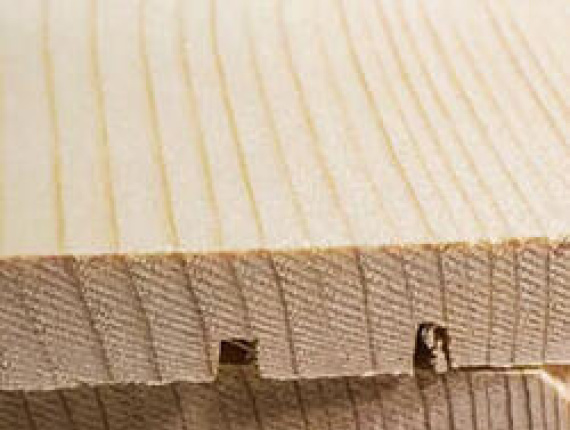 Blockhouse墙壁镶板 西伯利亚落叶松 KD 22 mm x 150 mm x 6000 mm