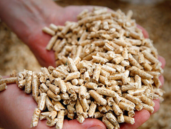 Maple Wood pellets 6 mm x 15 mm