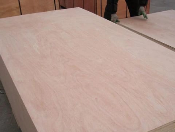 Sanded Spruce-Pine-Fir (SPF) Interior Plywood 2450 mm x 1220 mm x 4 mm