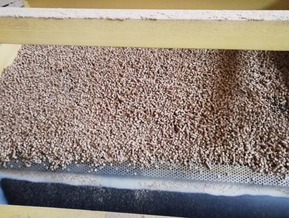 Pino siberiano Pellets de madera 6 mm x