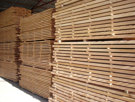 40 mm x 150 mm x 3000 mm KD S4S Pressure Treated Beech Lumber