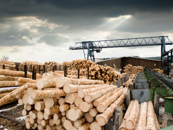 50 mm x 150 mm x 600 mm GR S4S  Spruce-Pine-Fir (SPF) Lumber