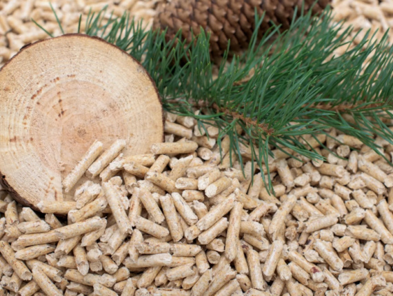 Holzpellets Eiche 6 mm x 50 mm