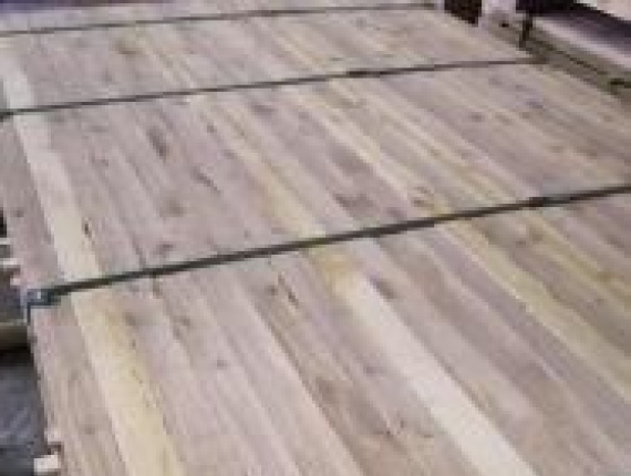 25 mm x 75 mm x 125 mm KD R/S  Paper Birch Lumber