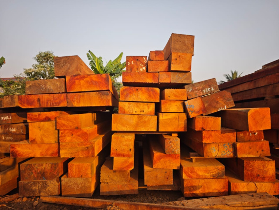 Tali (Missanda, Elune, Muave, Kassa) Square Logs 160 mm x 180 mm x 3000 m