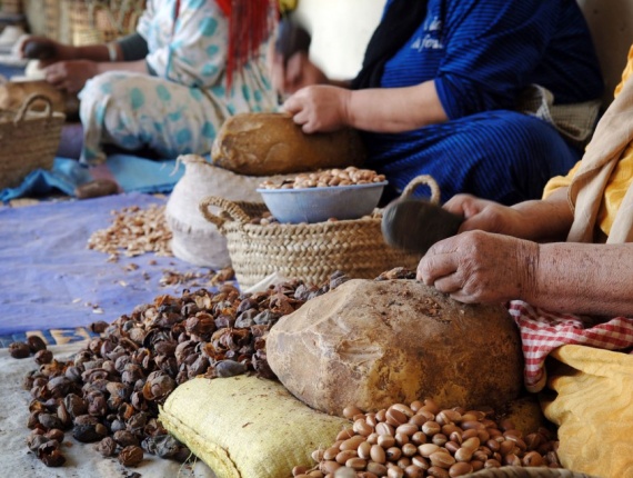 Argan Nüsse Shells hart Biokraftstoff