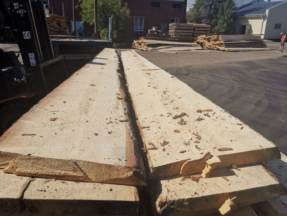 50 mm x 300 mm x 6000 mm Pine Flitch