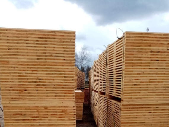 European larch Pallet timber 22 mm x 143 mm x 1200 m