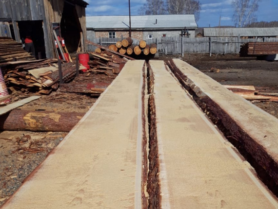 50 mm x 300 mm x 6000 mm Siberian Larch Flitch