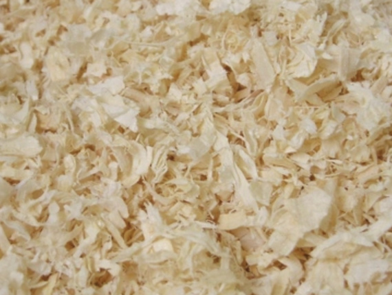 Paper Birch Wood shavings 5 mm x 15 mm