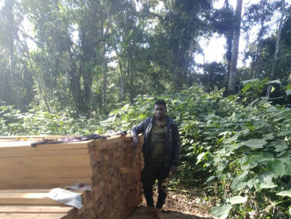 100 mm x 100 mm x 5000 mm  建築材 绿柄桑木 S4S AD