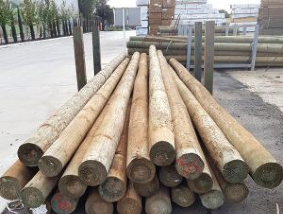 Masten Radiata Pine 300 mm x 15 m