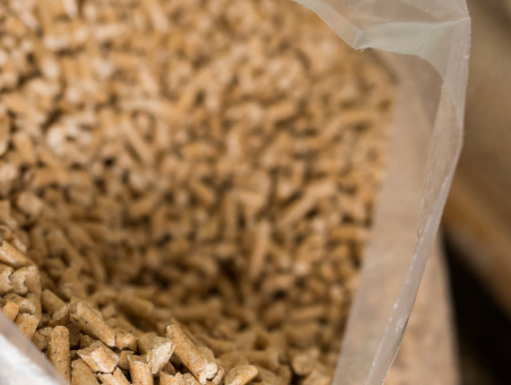 Beech Wood pellets 6 mm x 30 mm