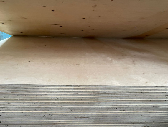 Sanded Siberian Pine Exterior Plywood 2440 mm x 1220 mm x 18 mm