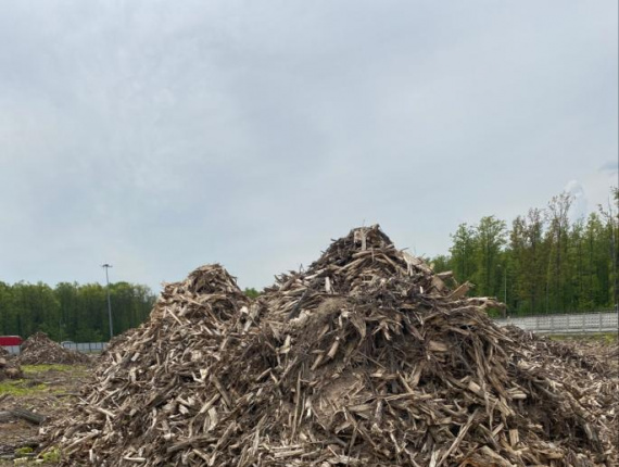 European spruce Wood chips