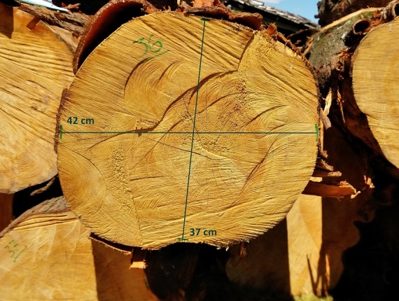 Sägeblöcke Radiata Pine 500 mm x 2.5 m