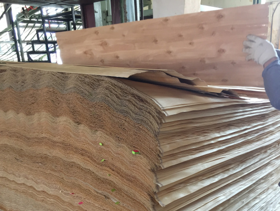 Birch Rotary cut veneer 2580 mm x 130 mm x 1 mm