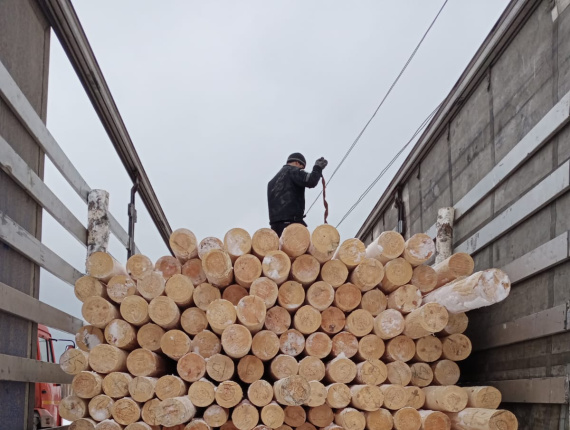 Zylindrisch rundholz Fichte-Kiefer (S-P) 120 mm x 6 m