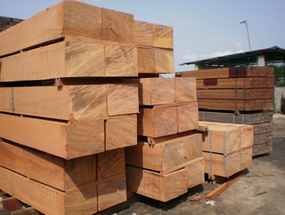 Doussie (Afzelia, Lingue, Apa, Chanfuta) Square Logs 150 mm x 8 m