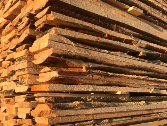 25 mm x 100 mm x 6000 mm Pine Lumber
