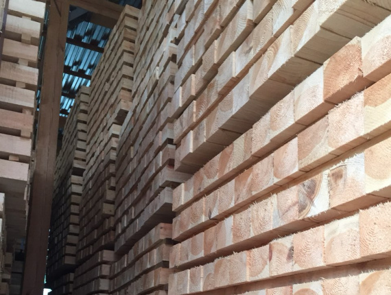 16 mm x 88 mm x 4000 mm KD R/S Heat Treated Scots Pine Lumber