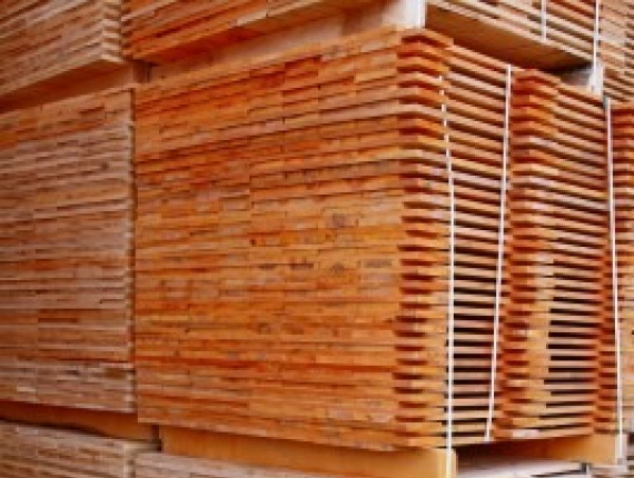 Palettenholz Fichte-Kiefer-Tanne (SPF) 15 mm x 75 mm x 1200 mm
