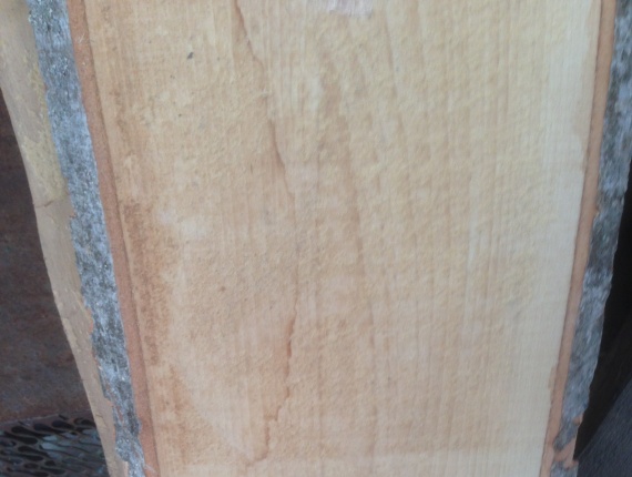 52 mm x 500 mm x 4000 mm 毛邊板 榉木