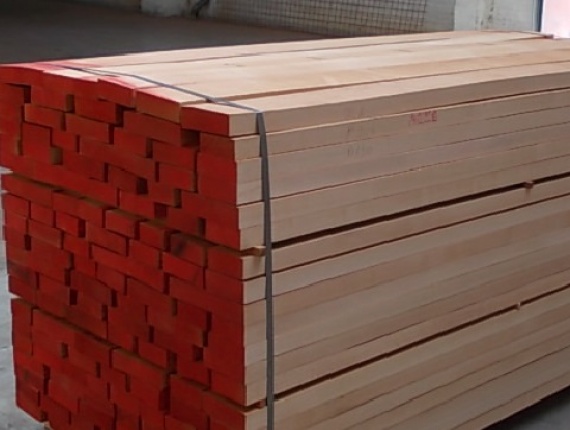 貨盤木材 榉木 16 mm x 300 mm x 1000 m