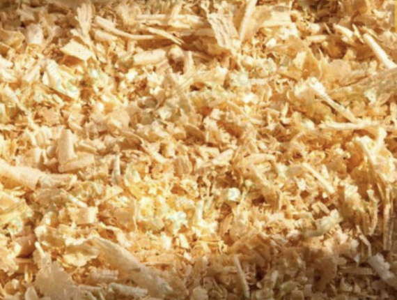 European larch Wood shavings 2 mm x 20 mm