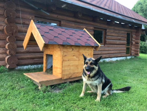 Wooden Dog house