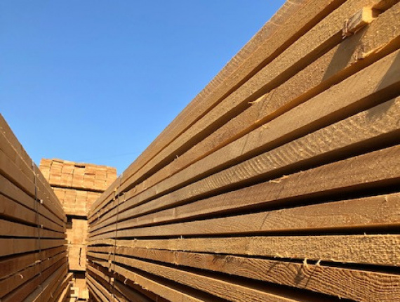 32 mm x 150 mm x 6000 mm GR S4S  Siberian Larch Lumber