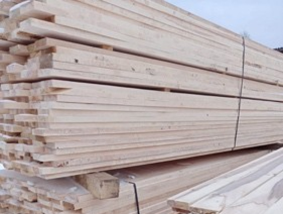 25 mm x 100 mm x 3000 mm KD S4S  Silver Birch Lumber