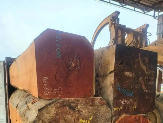 4-seitig Sägegestreiftes Rundholz Doussie (Afzelia 700 mm x 700 mm x 2.2 m