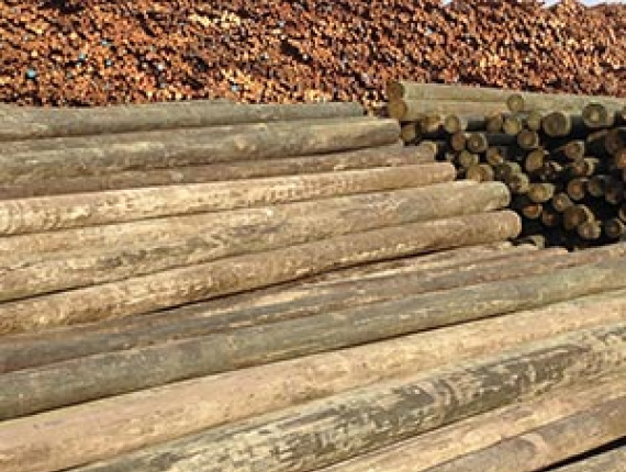 Radiata Pine Poles 250 mm x 9 m