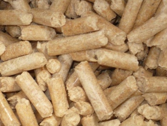 Pine pellets sale