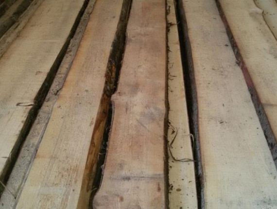 20 mm x 300 mm x 3000 mm Unbesäumtes Brett Aspe