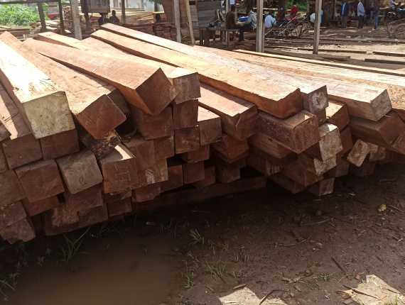 10 mm x 200 mm x 4000 mm  Eingefasstes Brett Iroko (Mvuli S4S AD