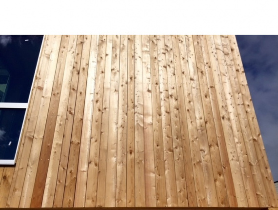 KD Siberian Larch Wooden Cladding 21 mm x 145 mm x 6000 mm