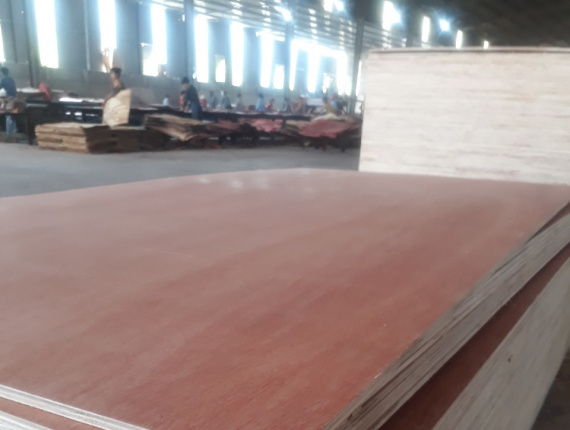 Sanded Eucalyptus Interior Plywood 2440 mm x 1220 mm x 6 mm