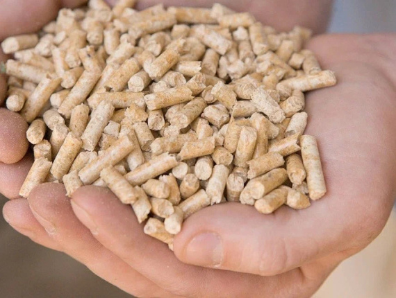 Holzpellets Eiche 8 mm x 50 mm