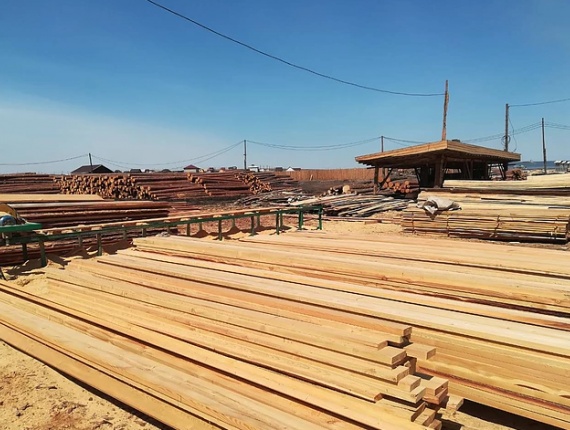 35 mm x 150 mm x 6000 mm KD S2S  Siberian Pine Lumber