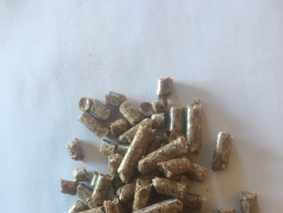 Scots Pine Wood pellets 6 mm x 25 mm