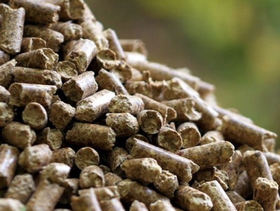 Birch Wood pellets 8 mm x 40 mm