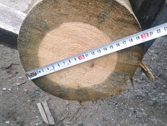 Holzmasten Sibirische Fichte 16 mm x 11 m