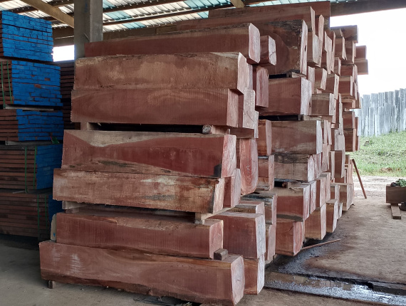 Doussie (Afzelia, Lingue, Apa, Chanfuta) Square Logs 160 mm x 180 mm x 3000 m