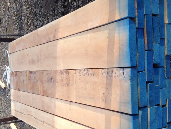 50 mm x 100 mm x 2600 mm KD S2S Heat Treated Beech Lumber