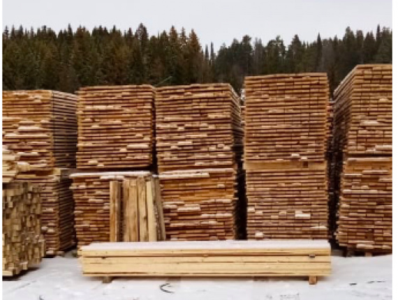 30 mm x 120 mm x 3000 mm KD S4S  Birch Lumber