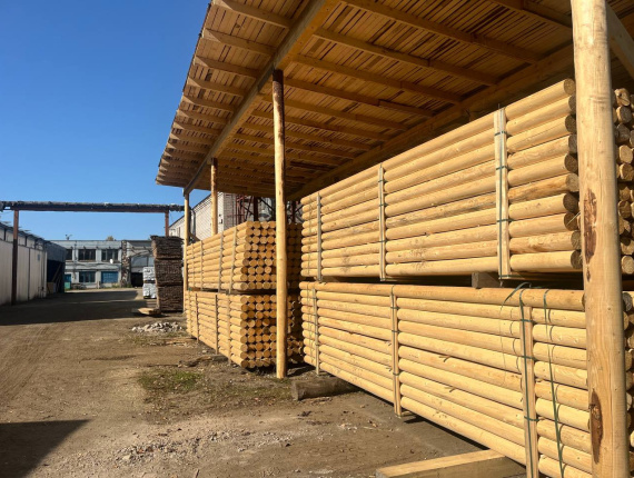 圆柱体原木 松木 160 mm x 6 m