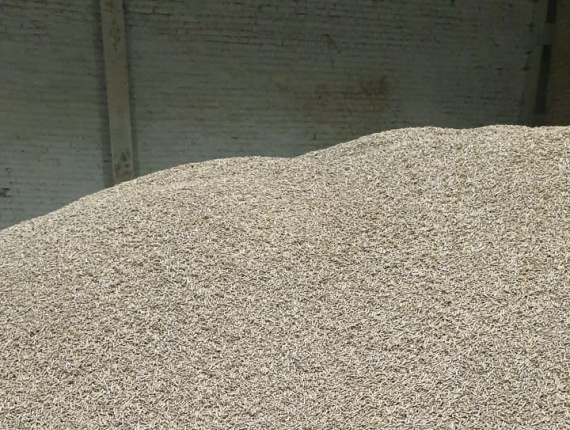 Holzpellets  Gemeine Fichte 8 mm x 20 mm