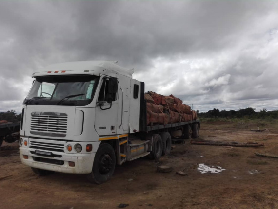 100 mm x 300 mm x 3000 mm GR S4S  African Rosewood, Machibi, Rhodesian Copalwood Lumber